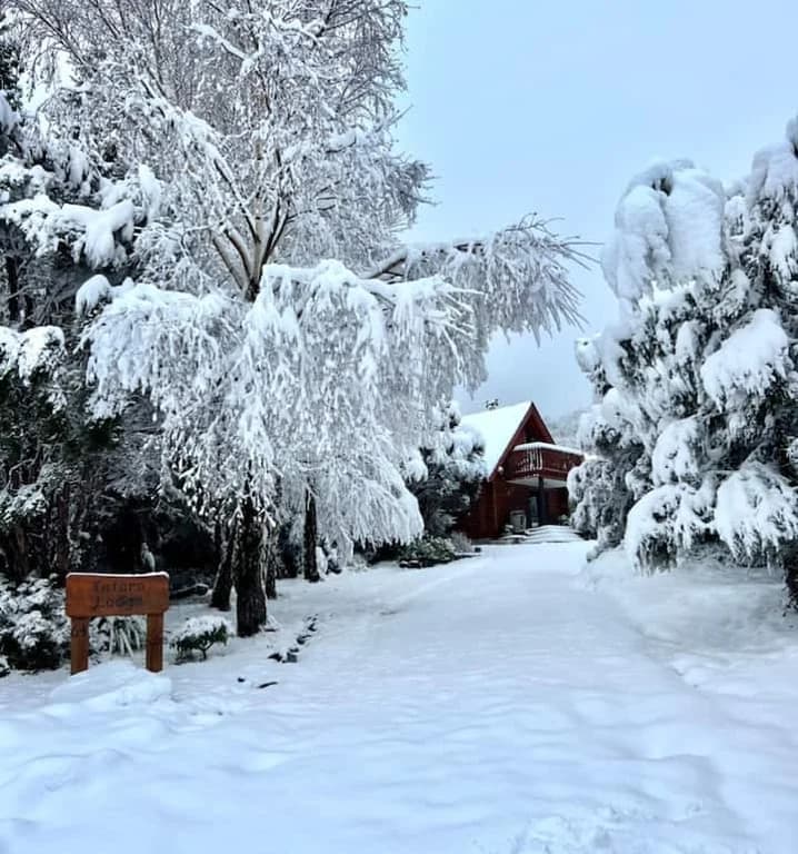 Totara Lodge | Snow | Couple Retreat - ML97564